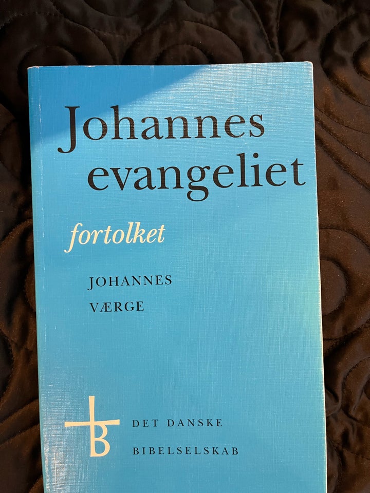 Johannes evangeliet fortolket, Johannes værge,