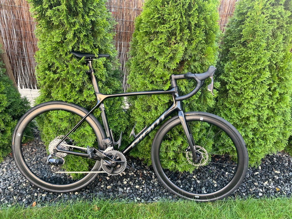 Herreracer, Giant TCR Advanced 1+ disc-AR XL