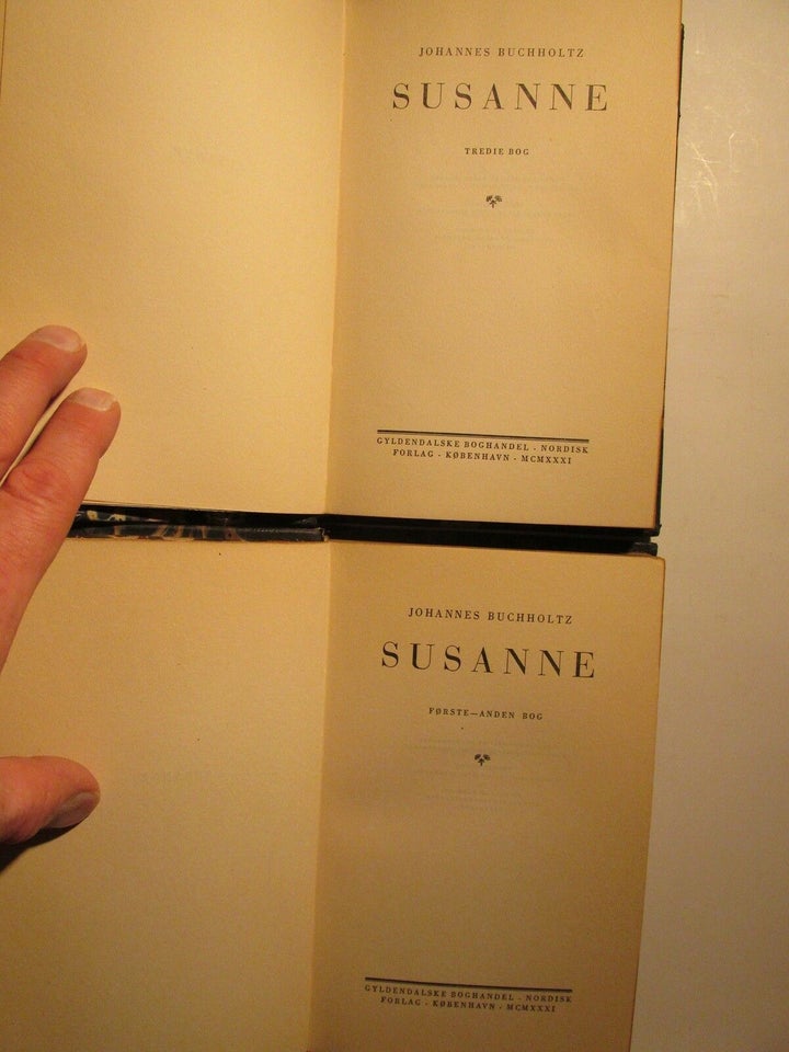 Susanne, Johannes Buchholtz, genre: roman