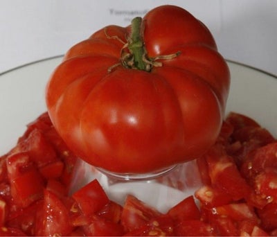 Tomat , bøf - Pantano Romanesco - 10 frø, Tomat , bøf - Pantano Romanesco - 10 frø
En elsket italien