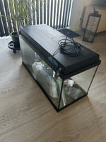 Akvarium, 110 liter