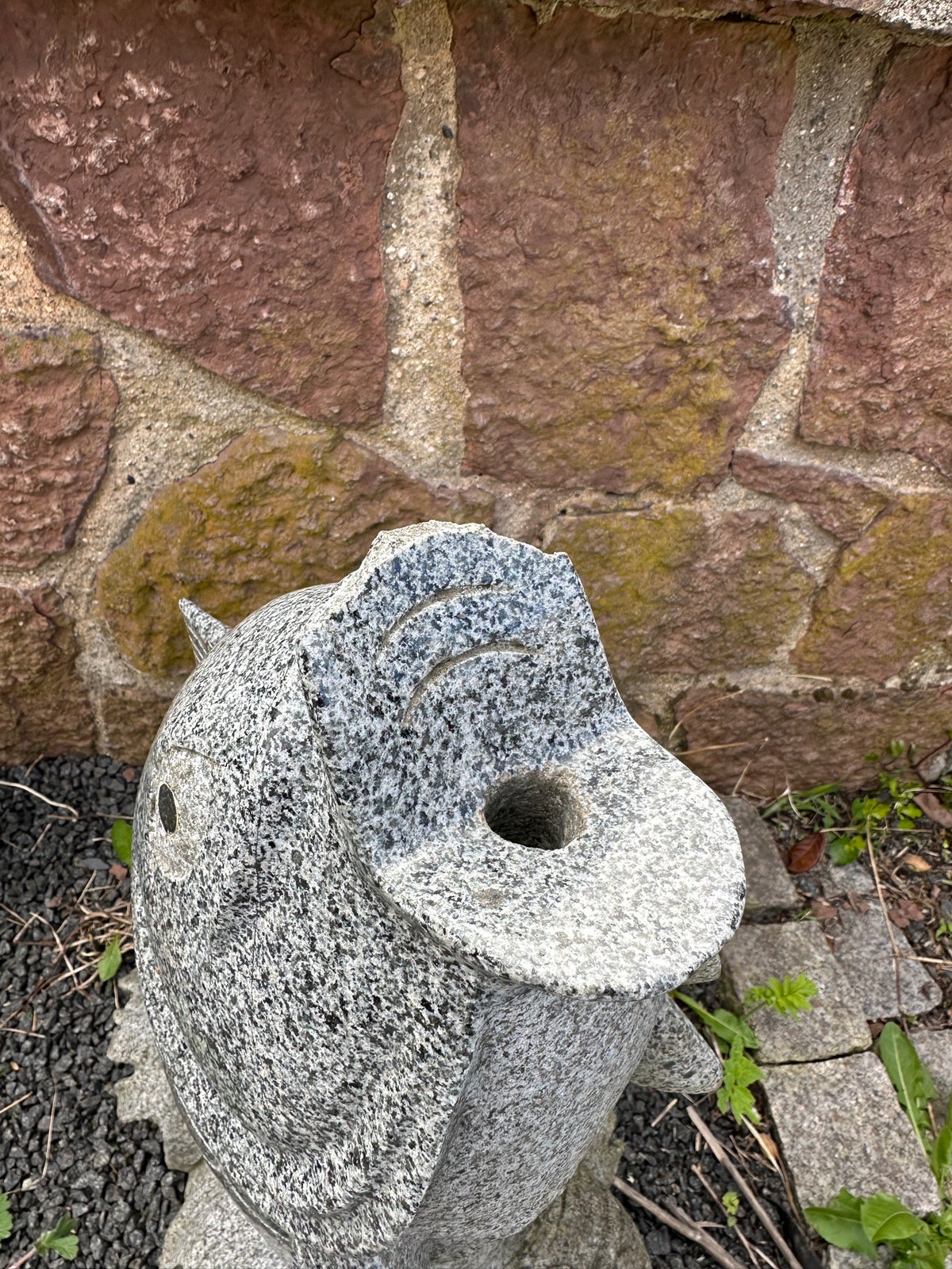 Granitkarpe