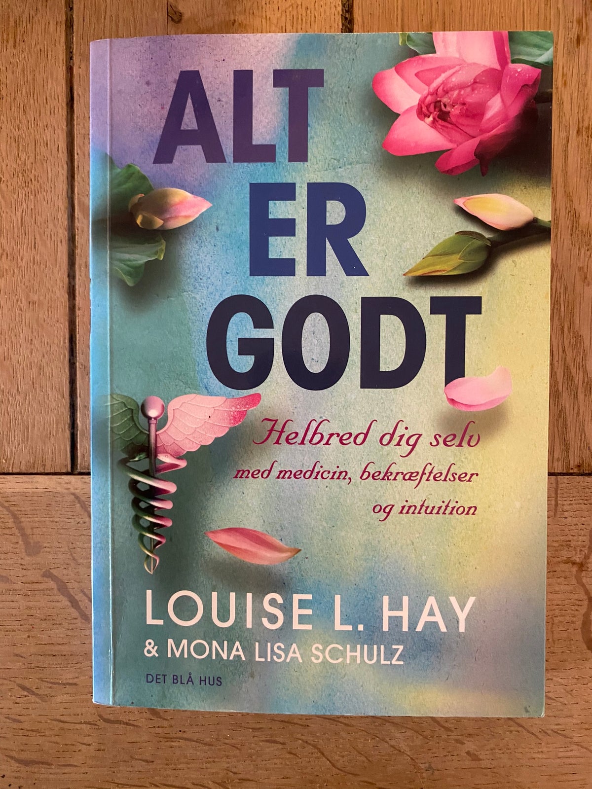 Litteratur kolbøtte jeg er enig Alt er godt, Louise L. Hay, emne: personlig udvikling – dba.dk – Køb og  Salg af Nyt og Brugt