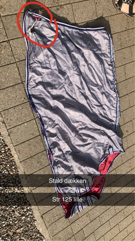 Dækken