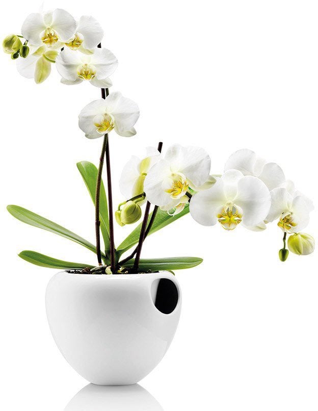 Orkide' potter , Eva Solo