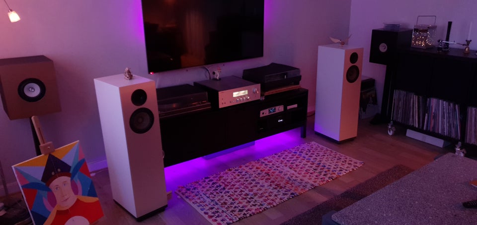 Højttaler, Andet mærke, SB Acoustics Satori