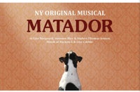 Matador, Musical, Vejle