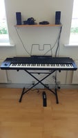 Keyboard, Roland G-800