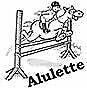 Profilbillede eller logo for Alulette - Dyrehøj Trailer Center