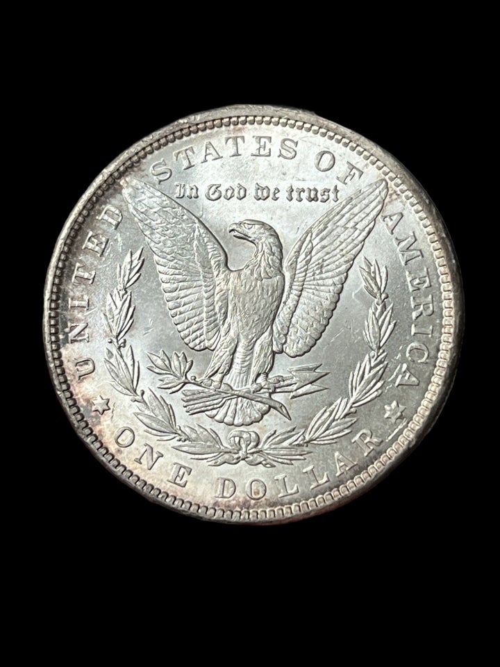 Amerika, mønter, Morgan dollar