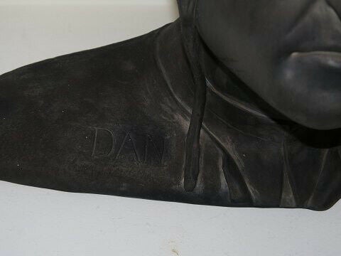 Ipsen terrakotta

Stor sort buste af Dante
