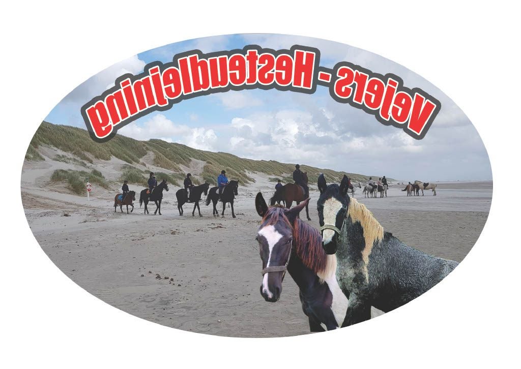 Bannerbillede for vejers hesteudlejning