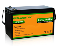 24 V LiFePO4 batteri til suveræn pris