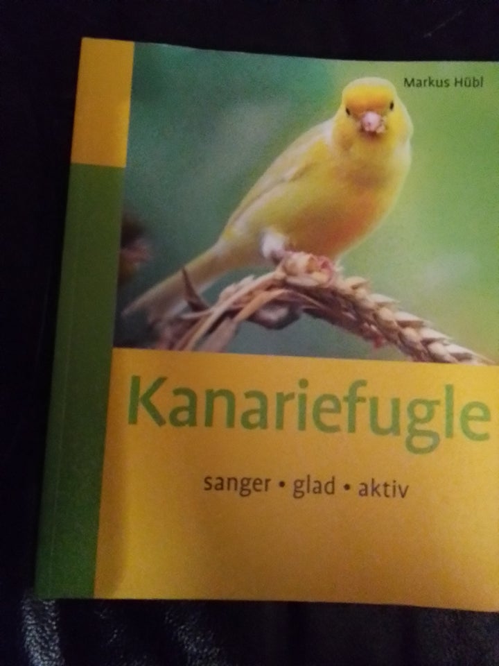 Kanariefugle  af Markus Hubi