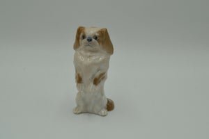 Royal Copenhagen porcelæn hund /pekingeser. nr. 1776, 1. sortering. Højde 12 cm.