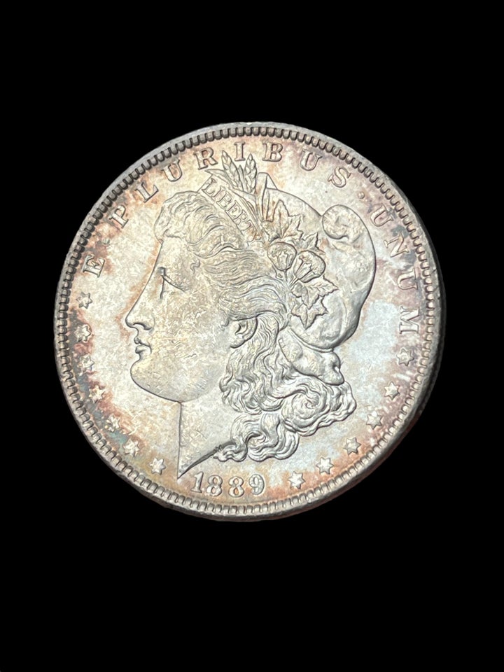 Amerika, mønter, Morgan dollar