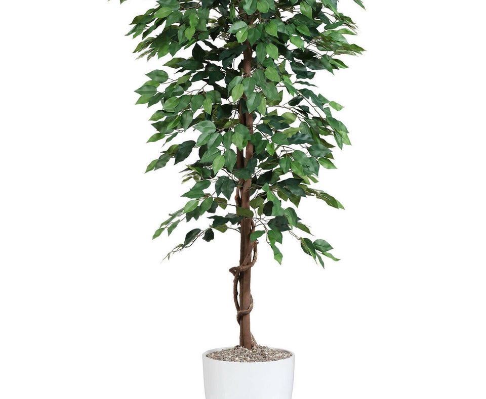 Kunstigt Ficus Benjamini 180 cm (1.440 blade)