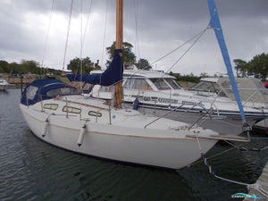 Danboat 29