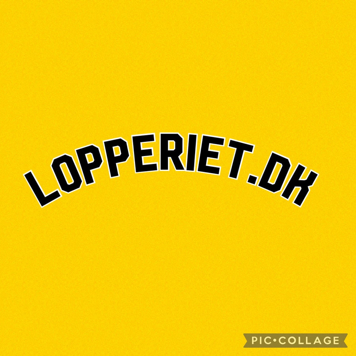 Bannerbillede for Lopperiet.dk