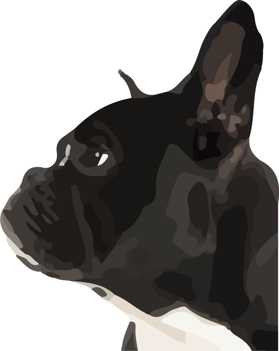 Bannerbillede for Kennel Chenil