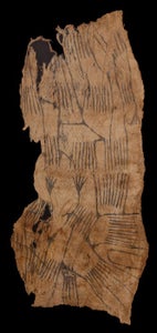 M'buti pygmæ bark maleri - DR Congo