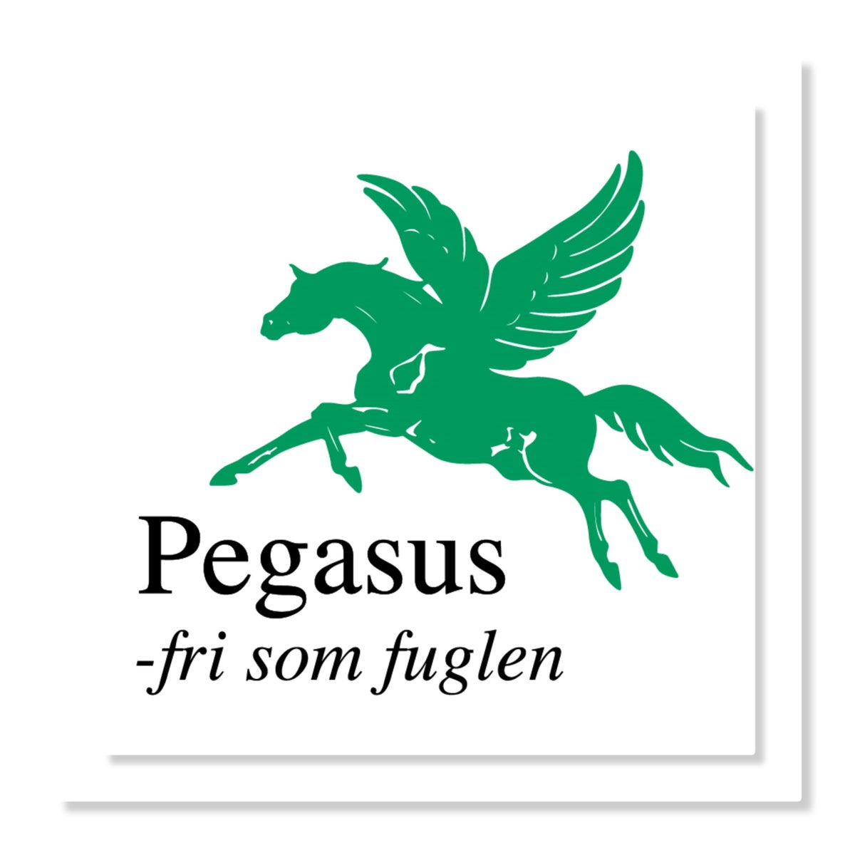 Bannerbillede for Pegasus El-scooter