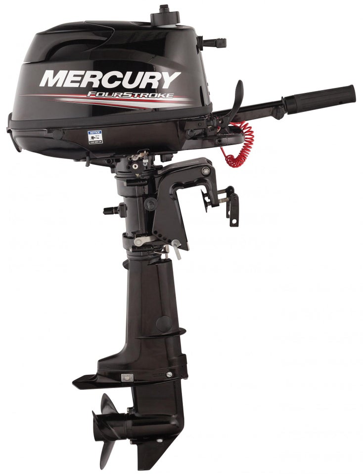 Mercury demomotor