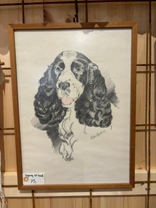 Tegning / billede af hund i glas og ramme 