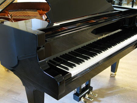 Schimmel C-169 flygel