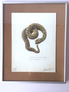 Maleri af slange - Anker Odum