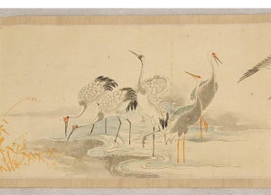 Contemplating 100 Cranes, emakimono scroll 巻物 百鶴之図 - After Kanō Tan'yū (狩野 探幽...