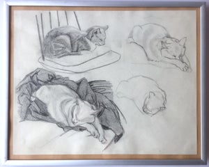 Studie af katte - Anker Odum
