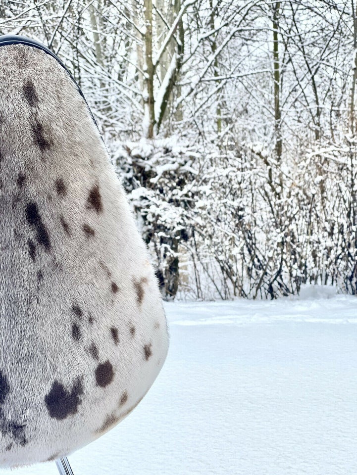 Arne Jacobsen Dråben, Sort soft Læder og Sælskin...