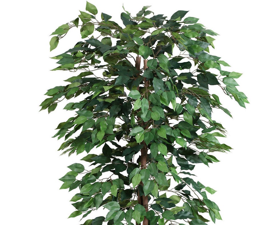 Kunstigt Ficus Benjamini 180 cm (1.440 blade)